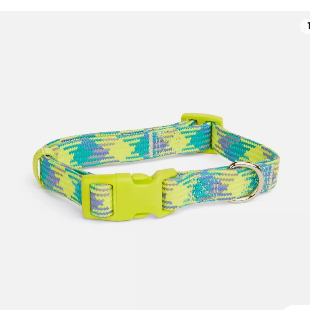 Youly // Medium Dog Collar